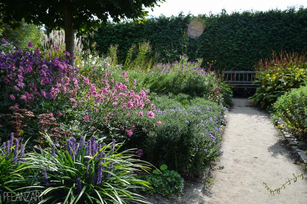 KarlFörsterGarten in Potsdam Bornim pflanzart
